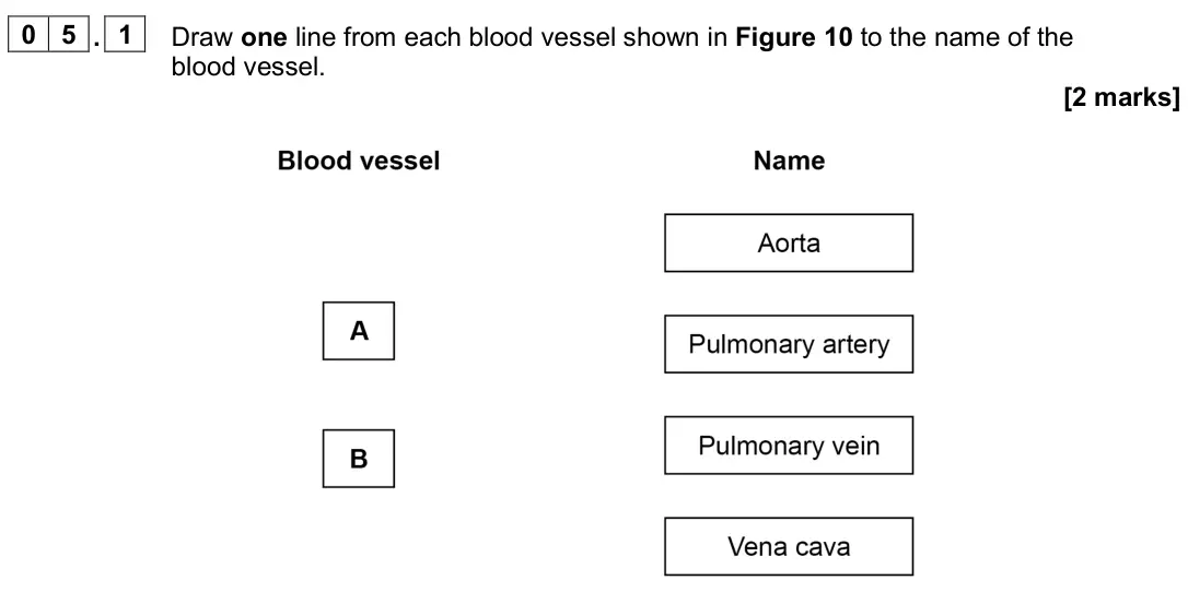 June 2025 Biology Paper 1 Foundation, question 05.1: Draw one line from each blood vessel shown in Figure 10 to the name of the blood vessel. [2 marks]
