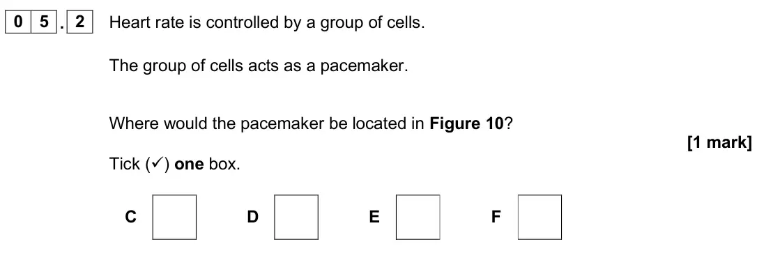 June 2025 Biology Paper 1 Foundation, question 05.2: Heart rate is controlled by a group of cells. The group of cells acts as a pacemaker. Where would the pacemaker be located in Figure 10? [1 mark] Tick () one b