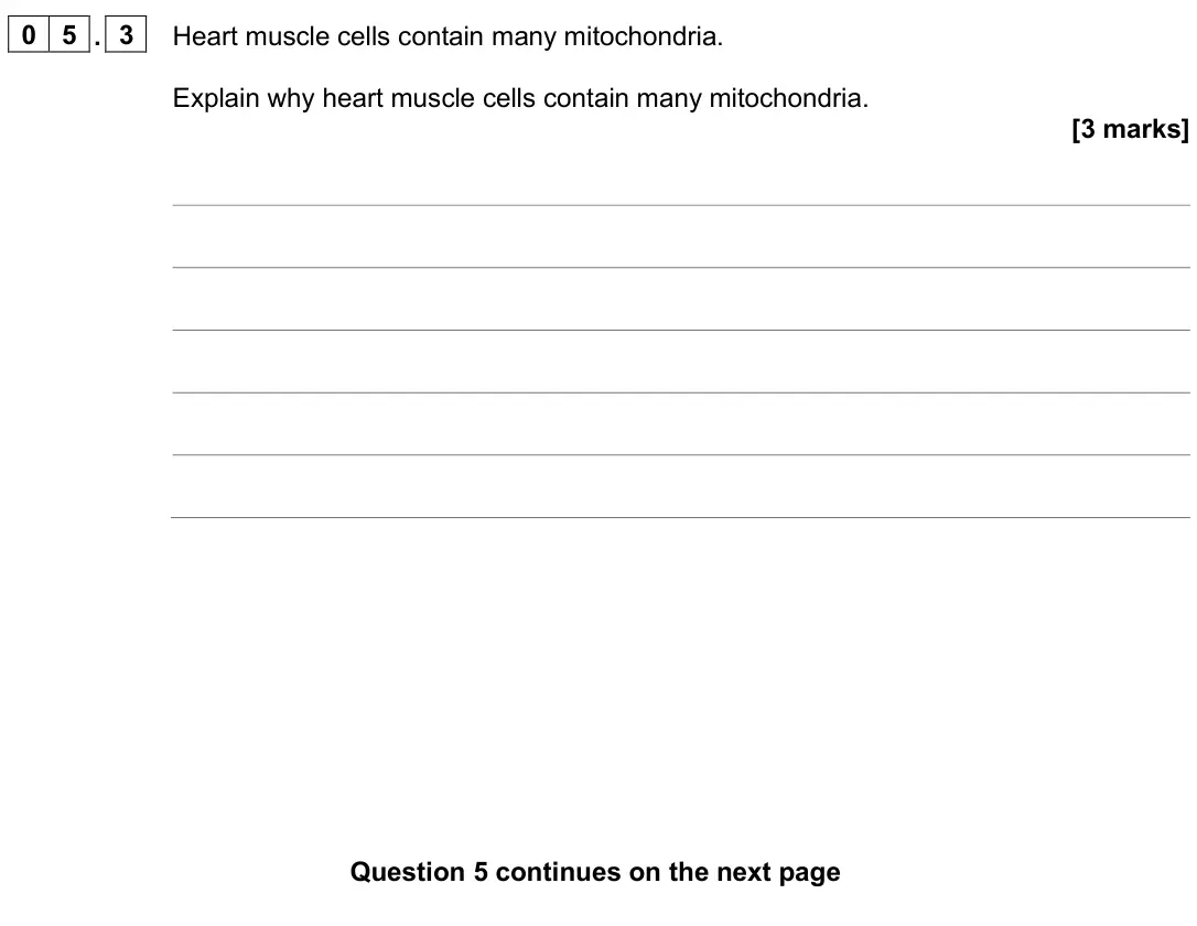 June 2025 Biology Paper 1 Foundation, question 05.3: Heart muscle cells contain many mitochondria. Explain why heart muscle cells contain many mitochondria. [3 marks]