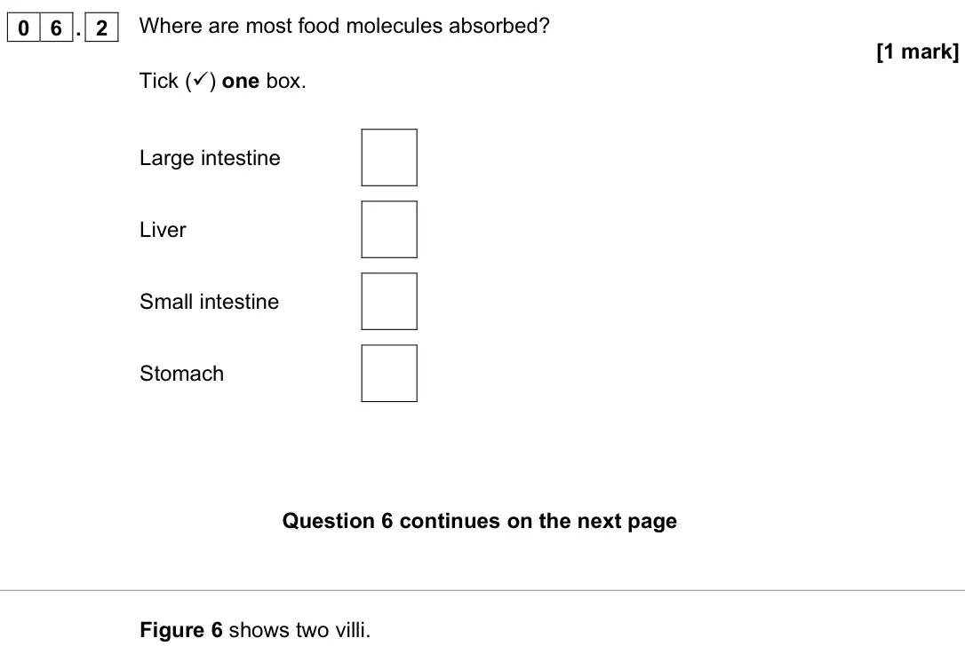 November 2020 Biology Paper 1 Foundation, question 06.2: Where are most food molecules absorbed? [1 mark] Tick () one box. Large intestine Liver Small intestine Stomach Figure 6 shows two villi.