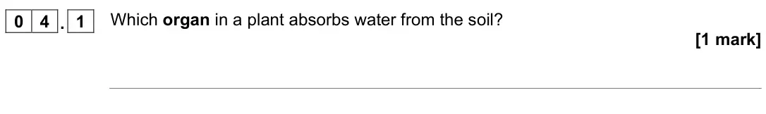 November 2021 Biology Paper 1 Foundation, question 04.1: Which organ in a plant absorbs water from the soil? [1 mark]