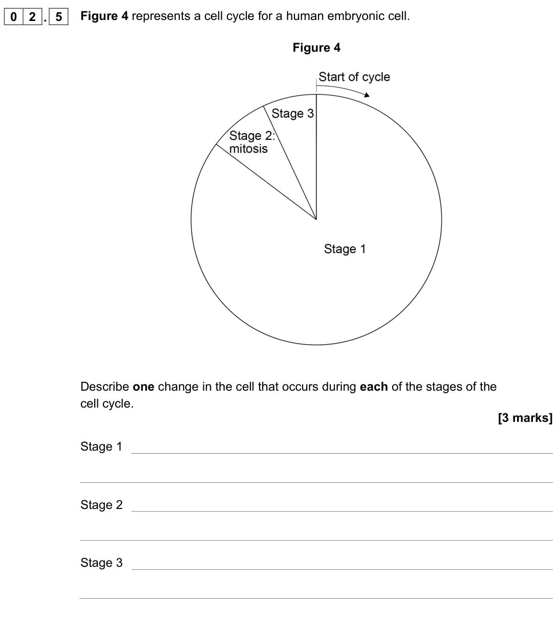 June 2022 Biology Paper 1 Higher, question 02.5: Figure 4 represents a cell cycle for a human embryonic cell. Figure 4 Describe one change in the cell that occurs during each of the stages of the cell cycle. [