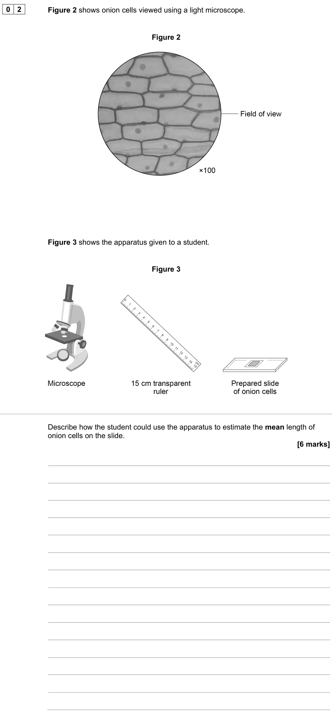 June 2023 Biology Paper 1 Higher, question 02: Figure 2 shows onion cells viewed using a light microscope. Figure 2 Figure 3 shows the apparatus given to a student. Figure 3 Describe how the student could us