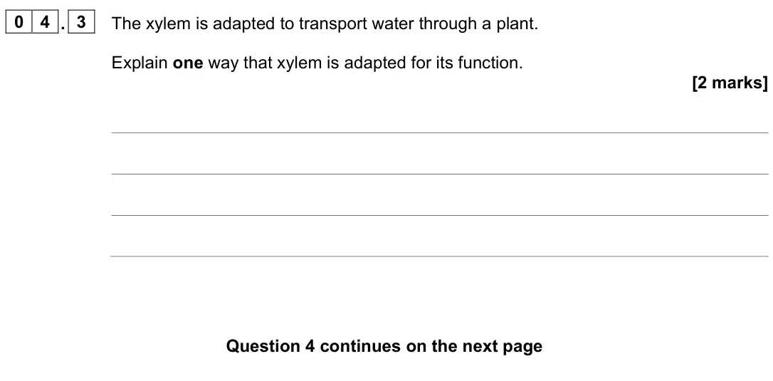 June 2023 Biology Paper 1 Higher, question 04.3: The xylem is adapted to transport water through a plant. Explain one way that xylem is adapted for its function. [2 marks]