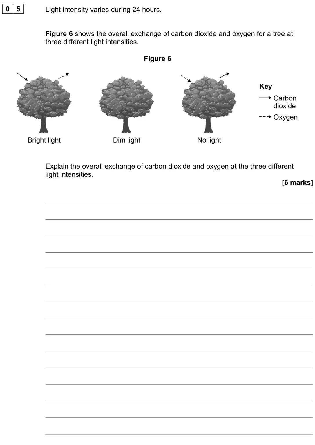 June 2023 Biology Paper 1 Higher, question 05: Light intensity varies during 24 hours. Figure 6 shows the overall exchange of carbon dioxide and oxygen for a tree at three different light intensities. Figure