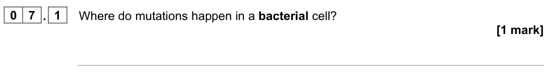 June 2023 Biology Paper 1 Higher, question 07.1: Where do mutations happen in a bacterial cell? [1 mark]