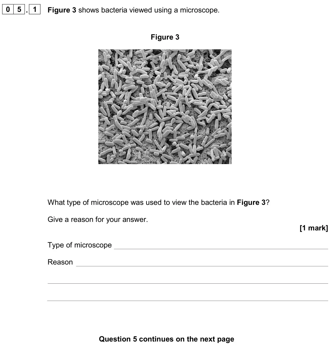 June 2024 Biology Paper 1 Higher, question 05.1: Figure 3 shows bacteria viewed using a microscope. Figure 3 What type of microscope was used to view the bacteria in Figure 3? Give a reason for your answer. [1