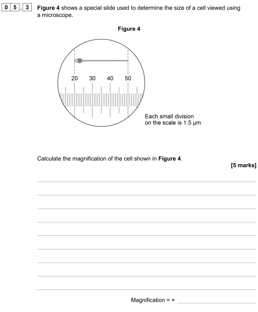 June 2024 Biology Paper 1 Higher, question 05.3: Figure 4 shows a special slide used to determine the size of a cell viewed using a microscope. Figure 4 Calculate the magnification of the cell shown in Figure 