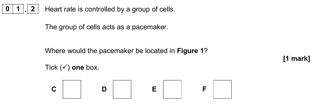 June 2025 Biology Paper 1 Higher, question 01.2: Heart rate is controlled by a group of cells. The group of cells acts as a pacemaker. Where would the pacemaker be located in Figure 1? [1 mark] Tick () one bo