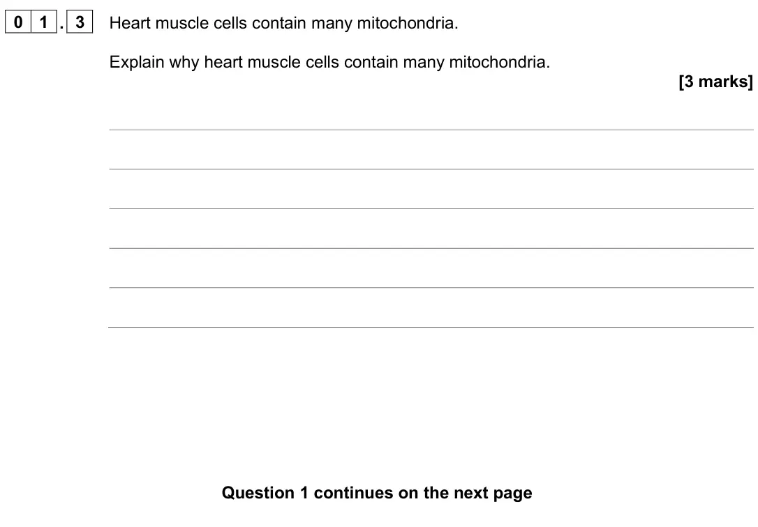 June 2025 Biology Paper 1 Higher, question 01.3: Heart muscle cells contain many mitochondria. Explain why heart muscle cells contain many mitochondria. [3 marks]