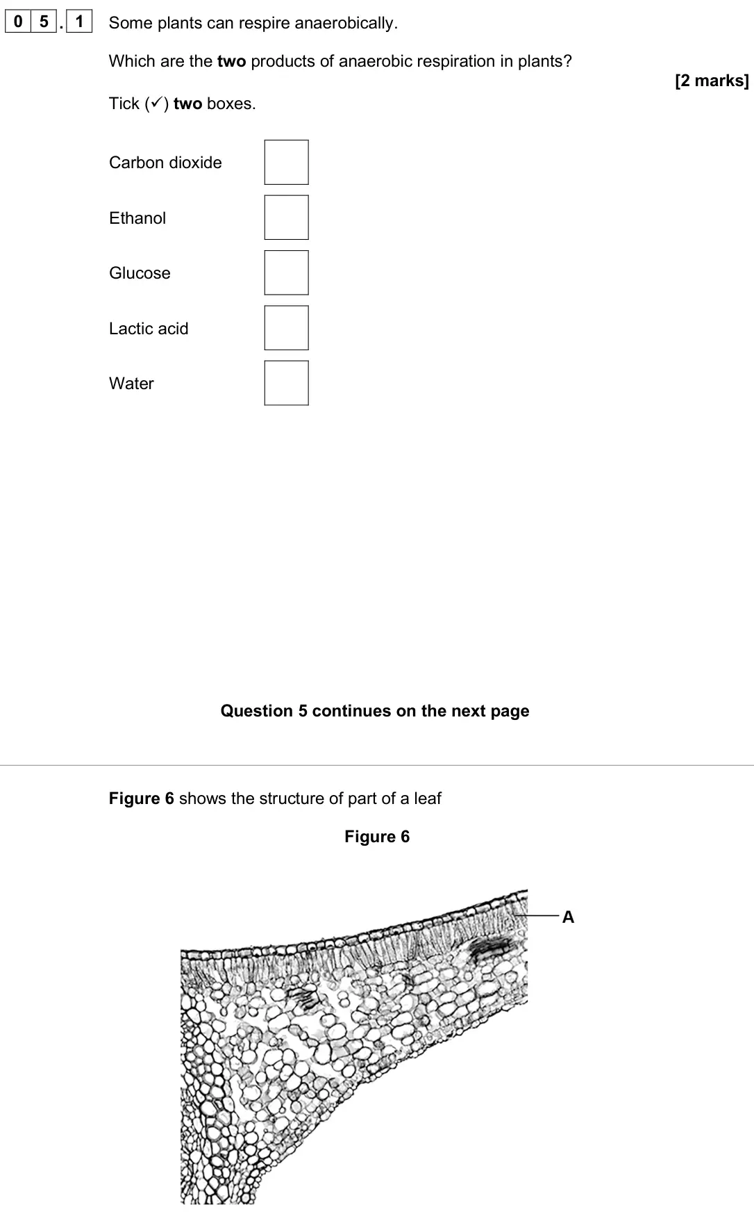 June 2025 Biology Paper 1 Higher, question 05.1: Some plants can respire anaerobically. Which are the two products of anaerobic respiration in plants? [2 marks] Tick () two boxes. Carbon dioxide Ethanol Gluco