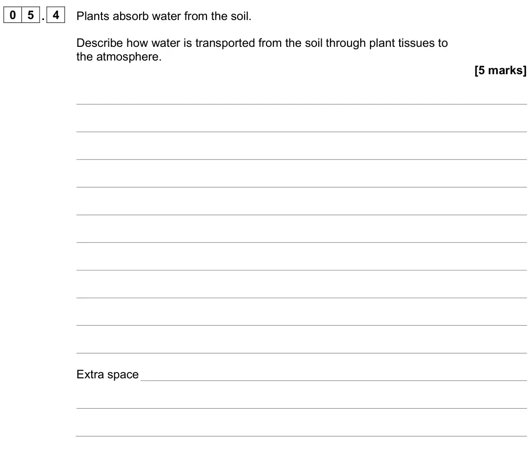 June 2025 Biology Paper 1 Higher, question 05.4: Plants absorb water from the soil. Describe how water is transported from the soil through plant tissues to the atmosphere. [5 marks]