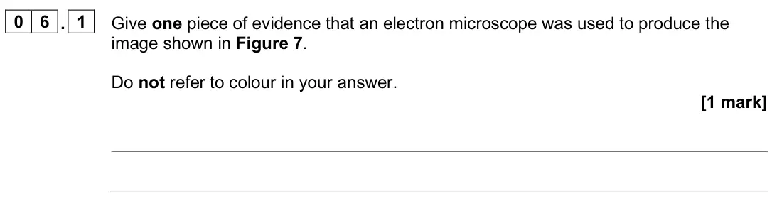 June 2025 Biology Paper 1 Higher, question 06.1: Give one piece of evidence that an electron microscope was used to produce the image shown in Figure 7. Do not refer to colour in your answer. [1 mark]