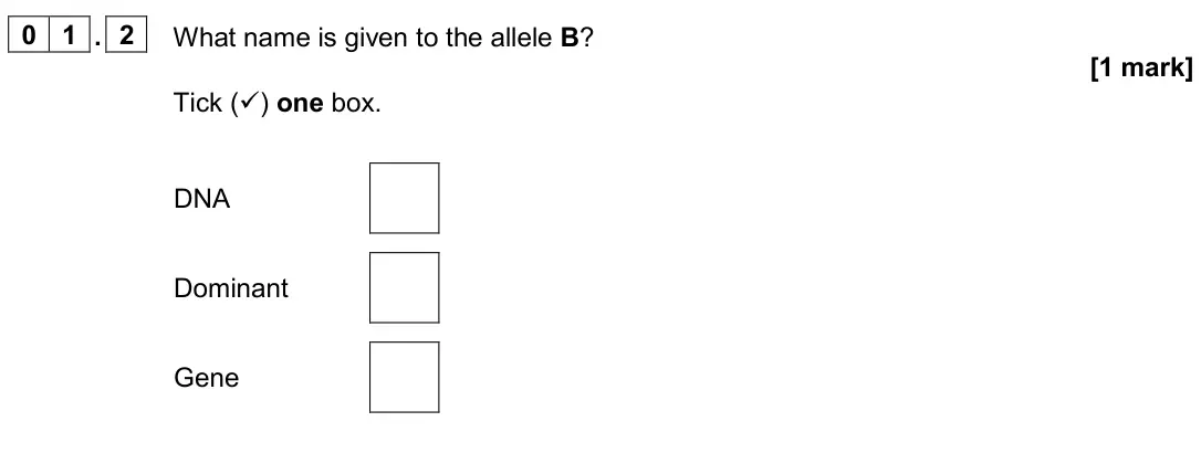 June 2024 Biology Paper 2 Foundation, question 01.2: What name is given to the allele B? [1 mark] Tick () one box. DNA Dominant Gene