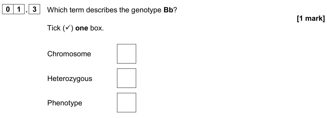 June 2024 Biology Paper 2 Foundation, question 01.3: Which term describes the genotype Bb? [1 mark] Tick () one box. Chromosome Heterozygous Phenotype