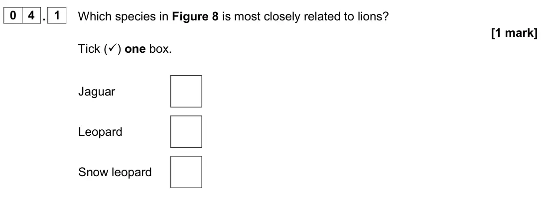June 2024 Biology Paper 2 Foundation, question 04.1: Which species in Figure 8 is most closely related to lions? [1 mark] Tick () one box. Jaguar Leopard Snow leopard