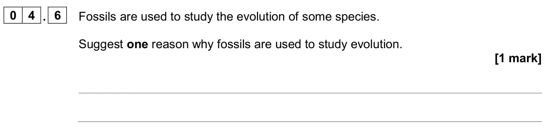 June 2024 Biology Paper 2 Foundation, question 04.6: Fossils are used to study the evolution of some species. Suggest one reason why fossils are used to study evolution. [1 mark]