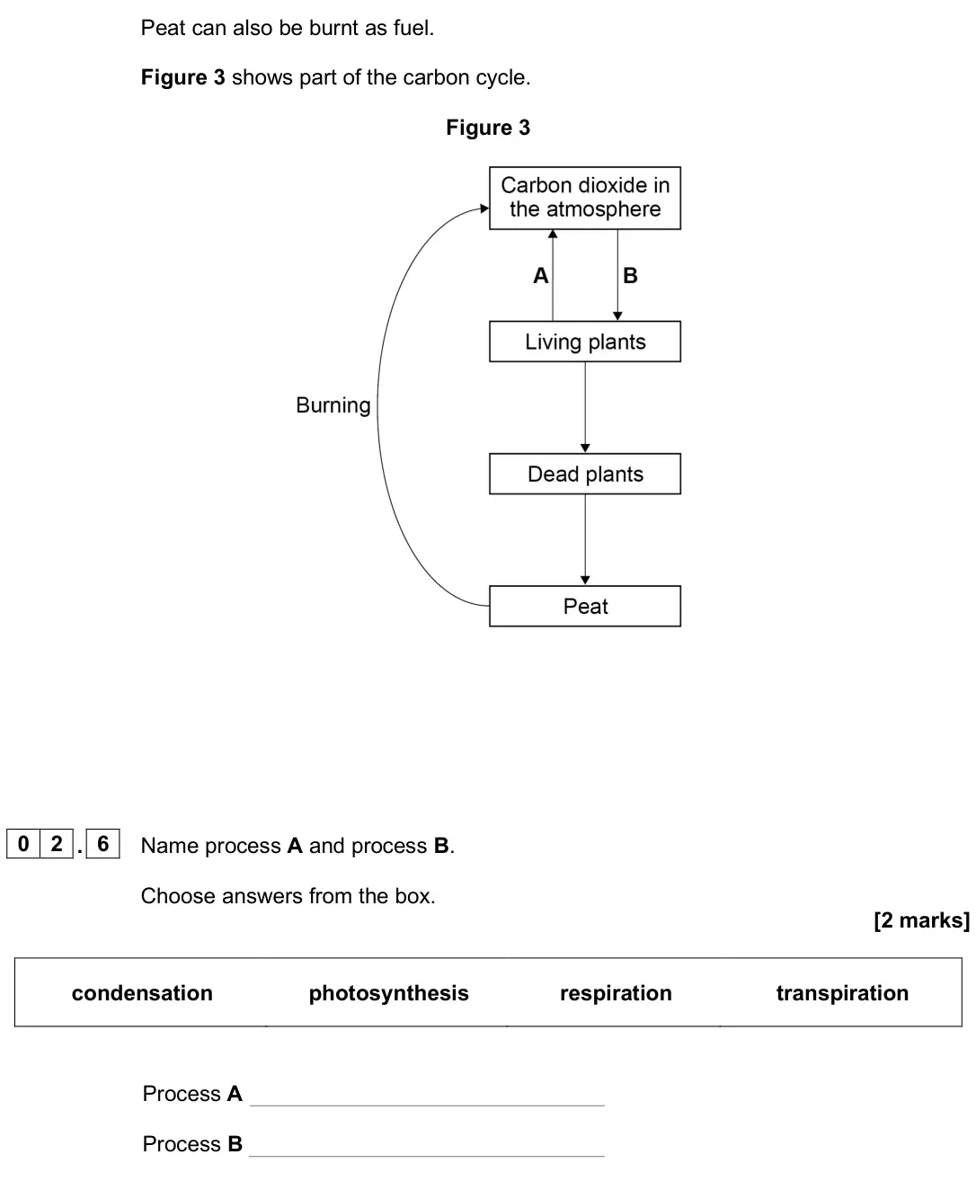 June 2025 Biology Paper 2 Foundation, question 02.6: Name process A and process B. Choose answers from the box. [2 marks] condensation photosynthesis respiration transpiration Process A Process B