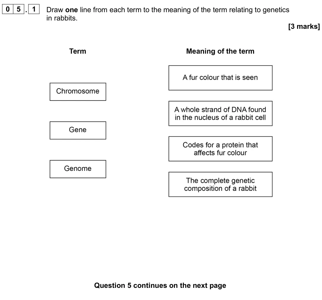 June 2025 Biology Paper 2 Foundation, question 05.1: Draw one line from each term to the meaning of the term relating to genetics in rabbits. [3 marks]