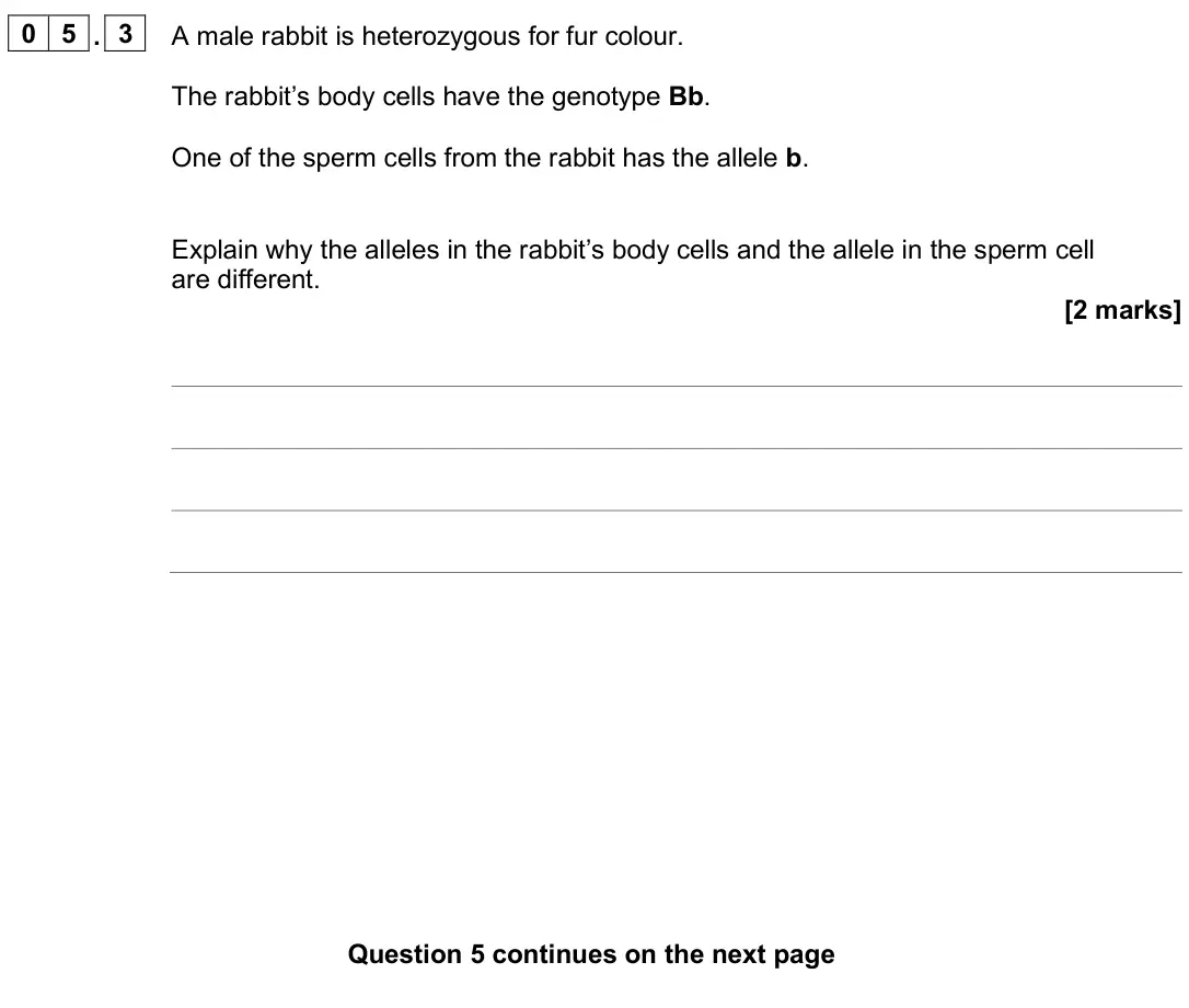 June 2025 Biology Paper 2 Foundation, question 05.3: A male rabbit is heterozygous for fur colour. The rabbit’s body cells have the genotype Bb. One of the sperm cells from the rabbit has the allele b. Explain why