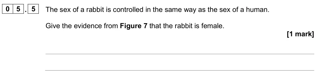 June 2025 Biology Paper 2 Foundation, question 05.5: The sex of a rabbit is controlled in the same way as the sex of a human. Give the evidence from Figure 7 that the rabbit is female. [1 mark]