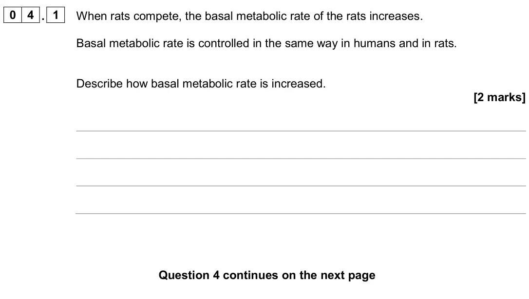 June 2024 Biology Paper 2 Higher, question 04.1: When rats compete, the basal metabolic rate of the rats increases. Basal metabolic rate is controlled in the same way in humans and in rats. Describe how basal 