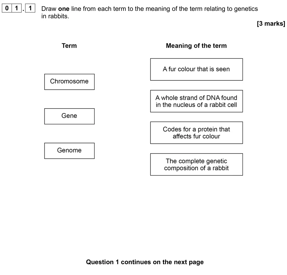 June 2025 Biology Paper 2 Higher, question 01.1: Draw one line from each term to the meaning of the term relating to genetics in rabbits. [3 marks]