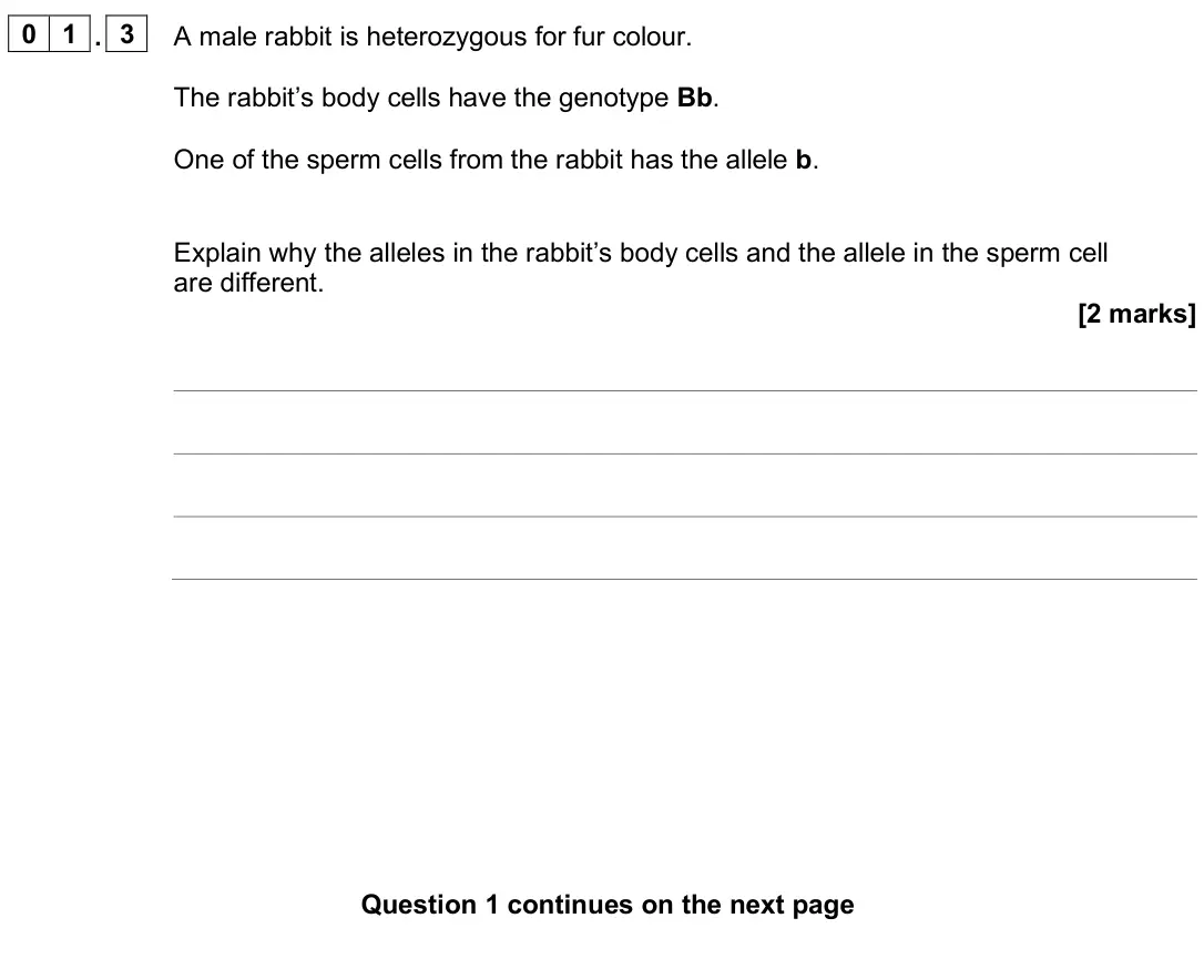 June 2025 Biology Paper 2 Higher, question 01.3: A male rabbit is heterozygous for fur colour. The rabbit’s body cells have the genotype Bb. One of the sperm cells from the rabbit has the allele b. Explain why