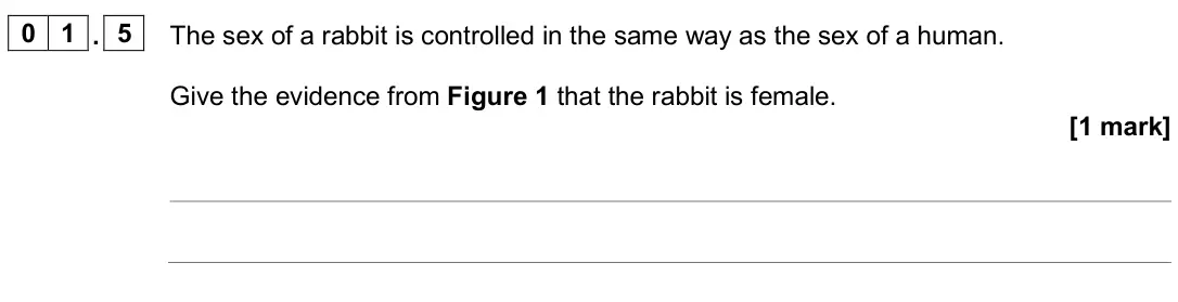 June 2025 Biology Paper 2 Higher, question 01.5: The sex of a rabbit is controlled in the same way as the sex of a human. Give the evidence from Figure 1 that the rabbit is female. [1 mark]