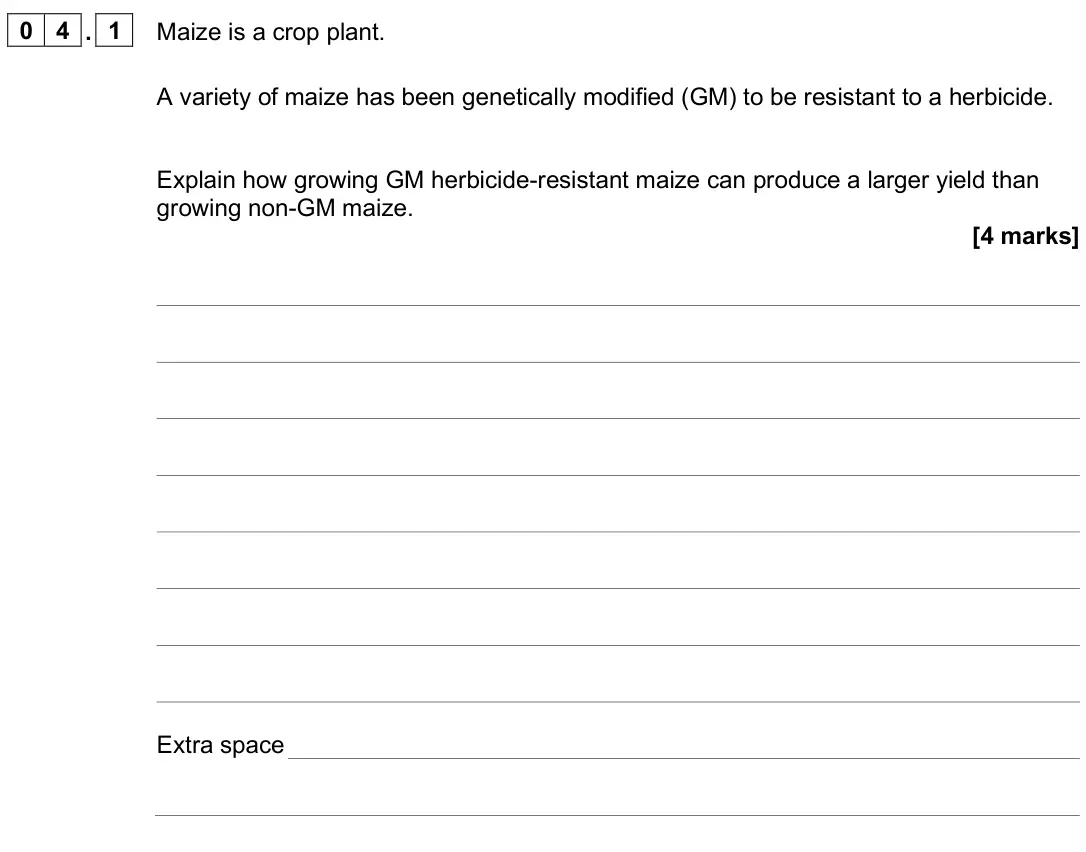 June 2025 Biology Paper 2 Higher, question 04.1: Maize is a crop plant. A variety of maize has been genetically modified (GM) to be resistant to a herbicide. Explain how growing GM herbicide-resistant maize ca