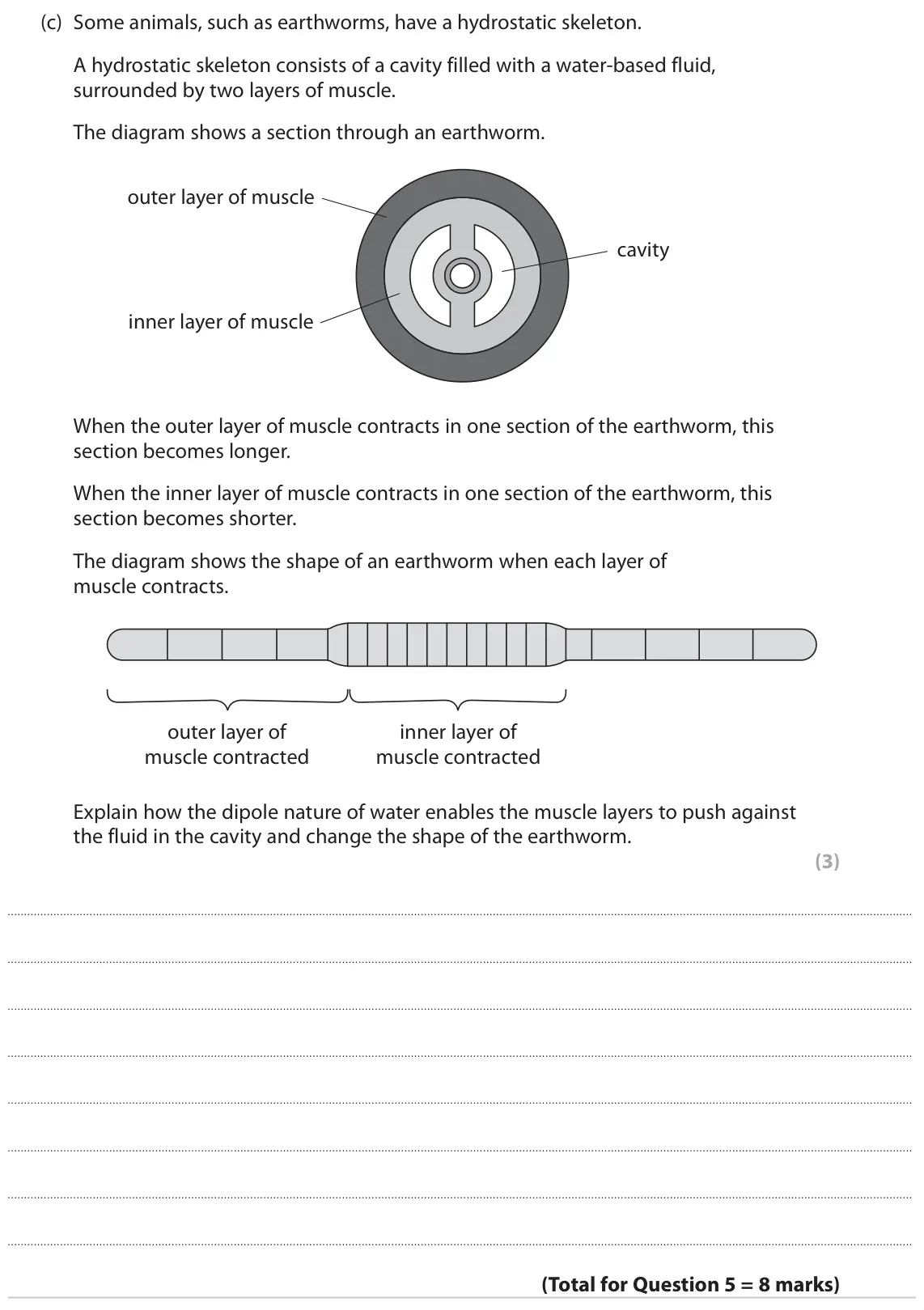 June 2022 AS Paper 1, question 5(c): Some animals, such as earthworms, have a hydrostatic skeleton. A hydrostatic skeleton consists of a cavity filled with a water-based fluid, surrounded by two la