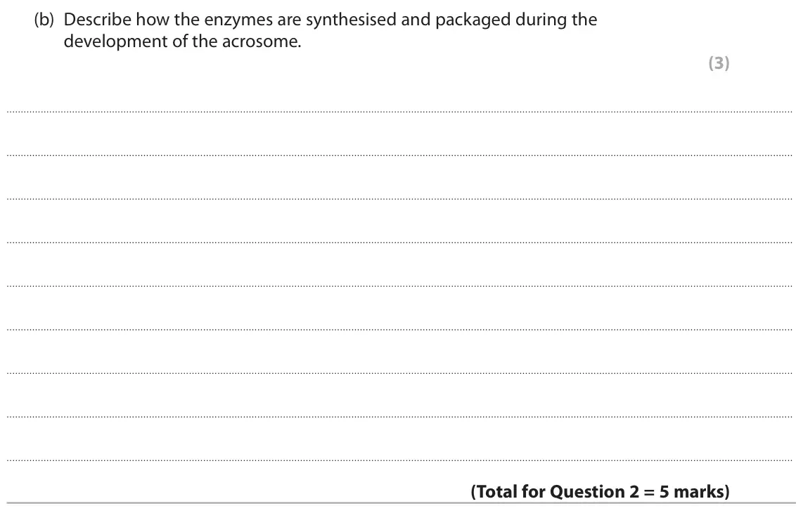 June 2023 AS Paper 1, question 2(b): Describe how the enzymes are synthesised and packaged during the development of the acrosome. (3)