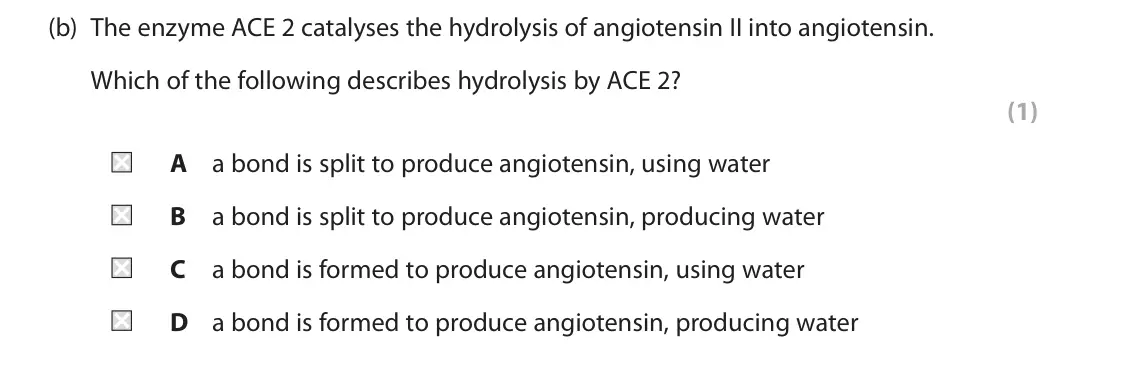 June 2023 AS Paper 1, question 4(b): The enzyme ACE 2 catalyses the hydrolysis of angiotensin II into angiotensin. Which of the following describes hydrolysis by ACE 2? (1) A a bond is split to pro
