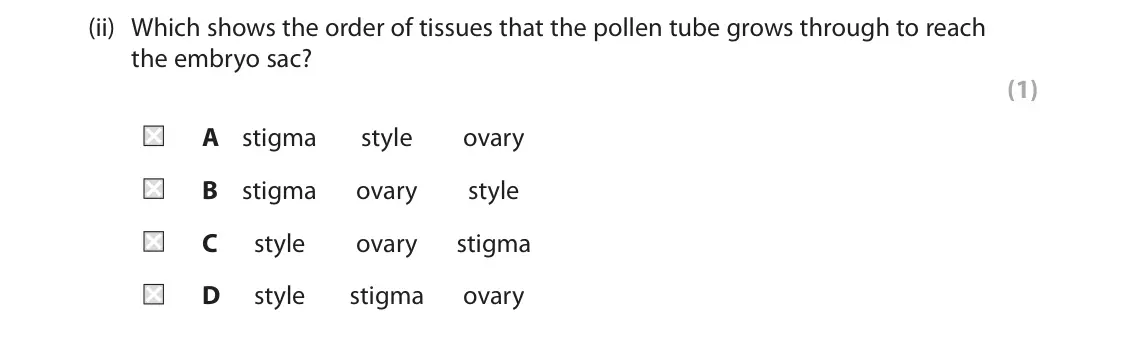 June 2023 AS Paper 1, question 5(c)(ii): Which shows the order of tissues that the pollen tube grows through to reach the embryo sac? (1) A stigma style ovary B stigma ovary style C style ovary stigma