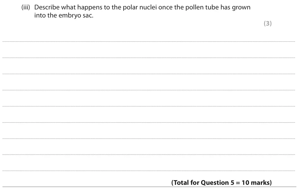 June 2023 AS Paper 1, question 5(c)(iii): Describe what happens to the polar nuclei once the pollen tube has grown into the embryo sac. (3)