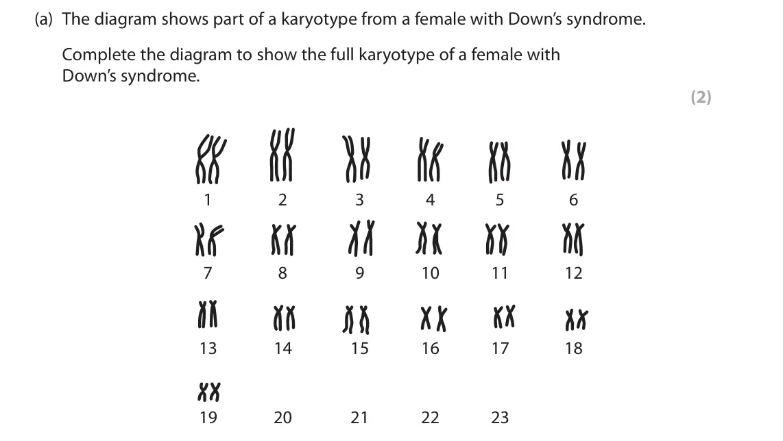 June 2024 AS Paper 1, question 2(a): The diagram shows part of a karyotype from a female with Down’s syndrome. Complete the diagram to show the full karyotype of a female with Down’s syndrome. (2) 