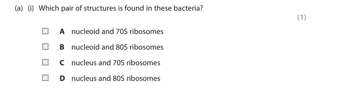 June 2024 AS Paper 1, question 3(a)(i): Which pair of structures is found in these bacteria? (1) A nucleoid and 70S ribosomes B nucleoid and 80S ribosomes C nucleus and 70S ribosomes D nucleus and 80S