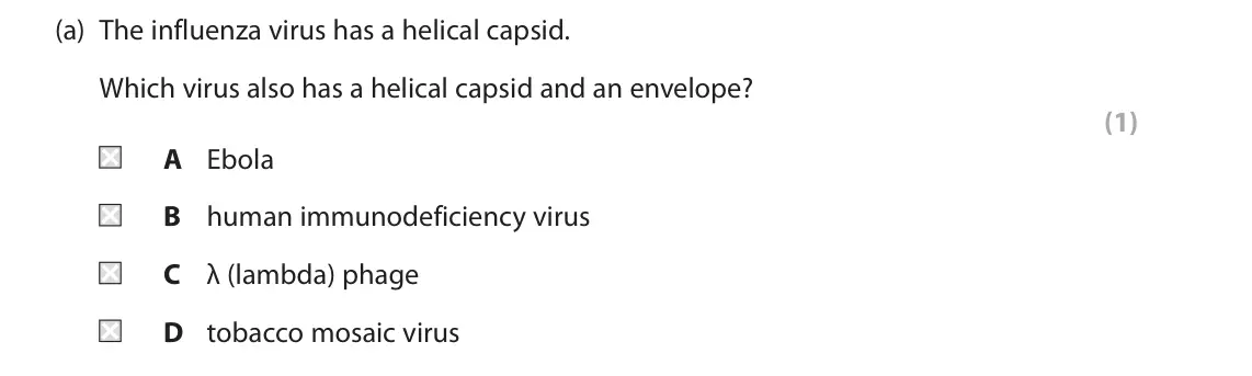 June 2024 AS Paper 1, question 6(a): The influenza virus has a helical capsid. Which virus also has a helical capsid and an envelope? (1) A Ebola B human immunodeficiency virus C λ (lambda) phage D