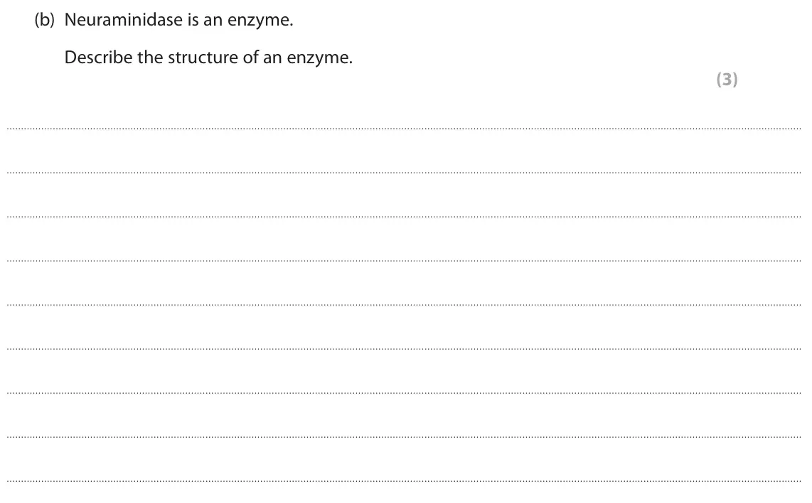June 2024 AS Paper 1, question 6(b): Neuraminidase is an enzyme. Describe the structure of an enzyme. (3)