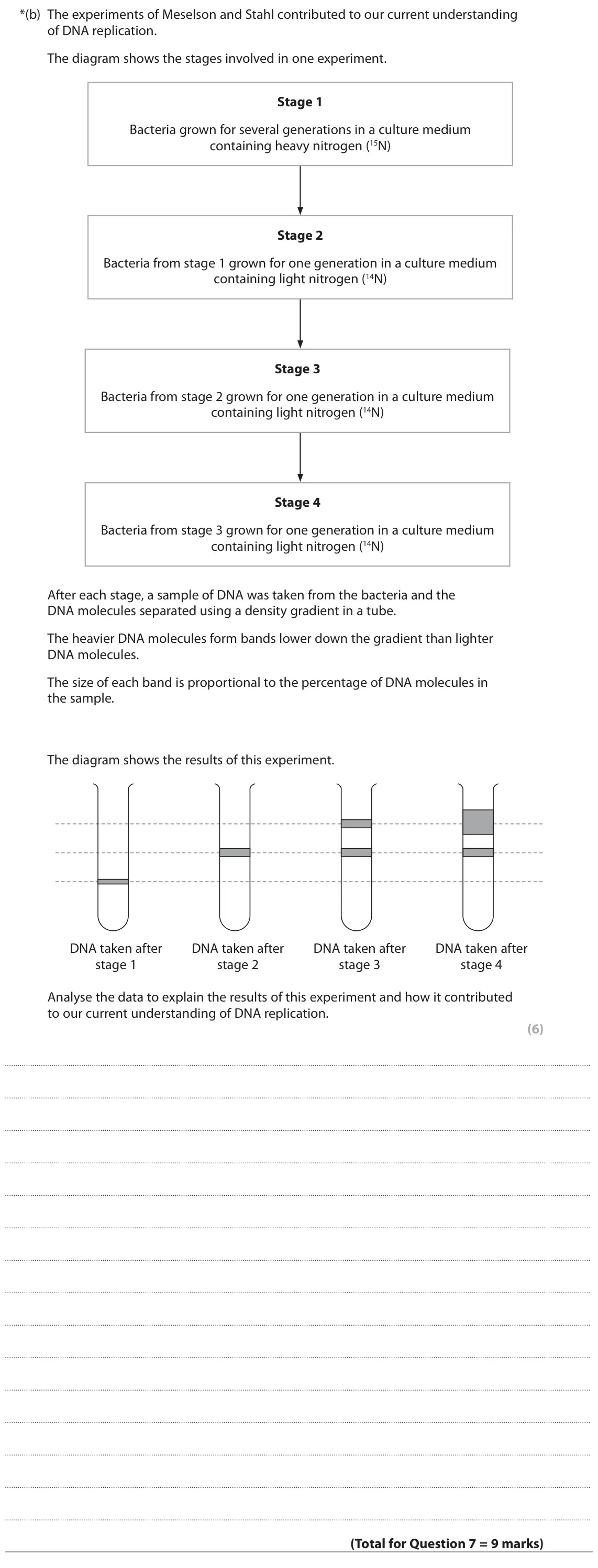 June 2024 AS Paper 1, question 7(b): The experiments of Meselson and Stahl contributed to our current understanding of DNA replication. The diagram shows the stages involved in one experiment. Stag