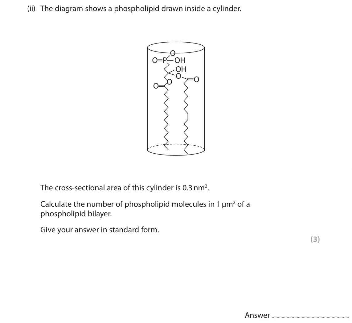 June 2024 AS Paper 1, question 9(a)(ii): The diagram shows a phospholipid drawn inside a cylinder. O O P OH OH O O O O The cross-sectional area of this cylinder is 0.3 nm2. Calculate the number of phos