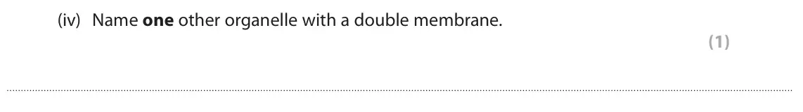 June 2025 AS Paper 1, question 3(a)(iv): Name one other organelle with a double membrane. (1)