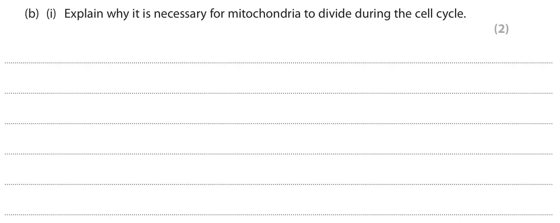 June 2025 AS Paper 1, question 3(b)(i): Explain why it is necessary for mitochondria to divide during the cell cycle. (2)