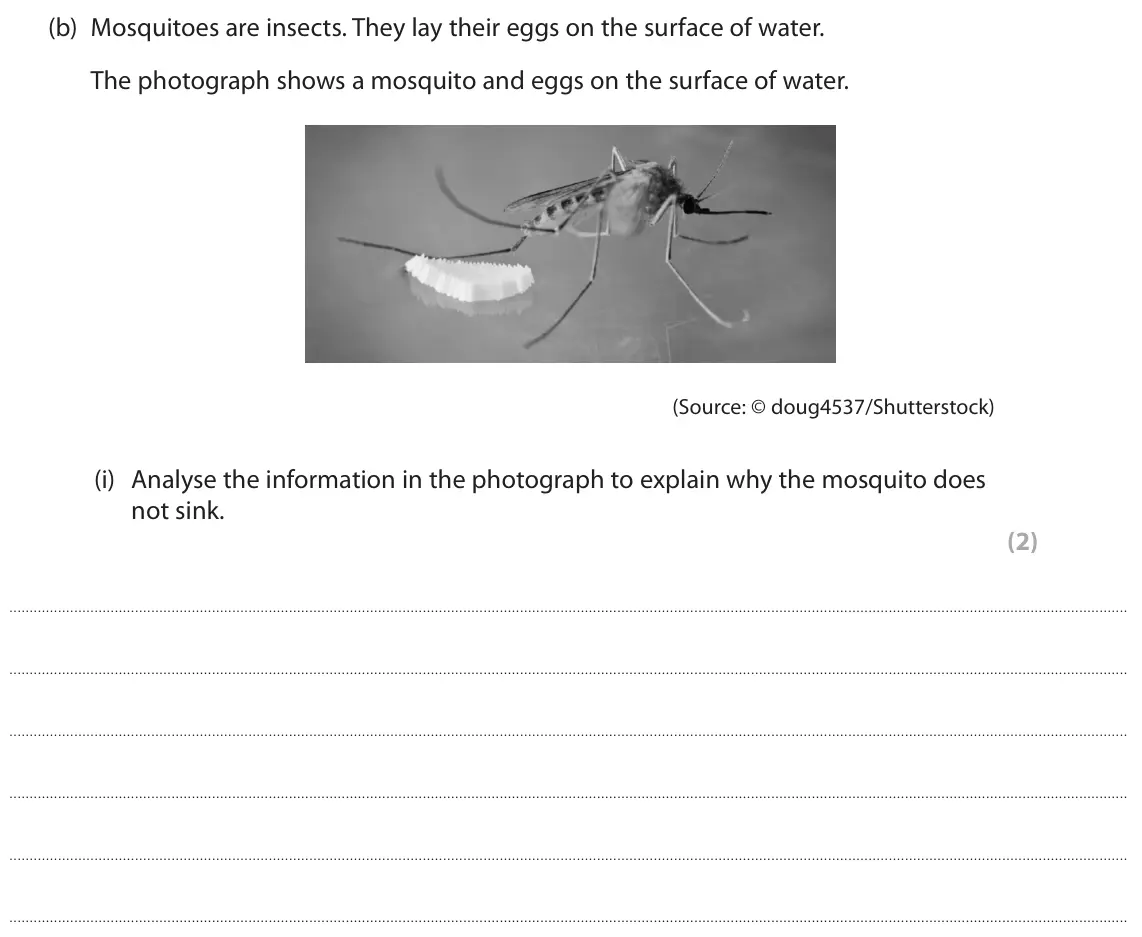 June 2025 AS Paper 1, question 5(b)(i): Analyse the information in the photograph to explain why the mosquito does not sink. (2)