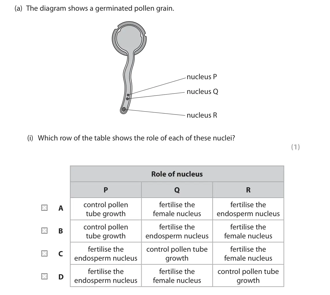June 2025 AS Paper 1, question 6(a)(i): Which row of the table shows the role of each of these nuclei? (1) Role of nucleus P Q R control pollen fertilise the fertilise the A tube growth female nucleus