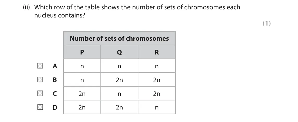 June 2025 AS Paper 1, question 6(a)(ii): Which row of the table shows the number of sets of chromosomes each nucleus contains? (1) Number of sets of chromosomes P Q R A n n n B n 2n 2n C 2n n 2n D 2n 2