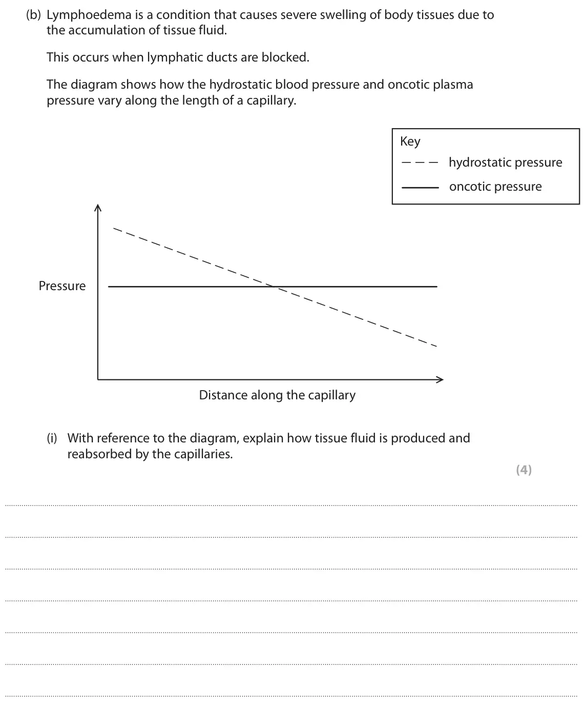 June 2016 AS Paper 2, question 4(b)(i): With reference to the diagram, explain how tissue fluid is produced and reabsorbed by the capillaries. (4)