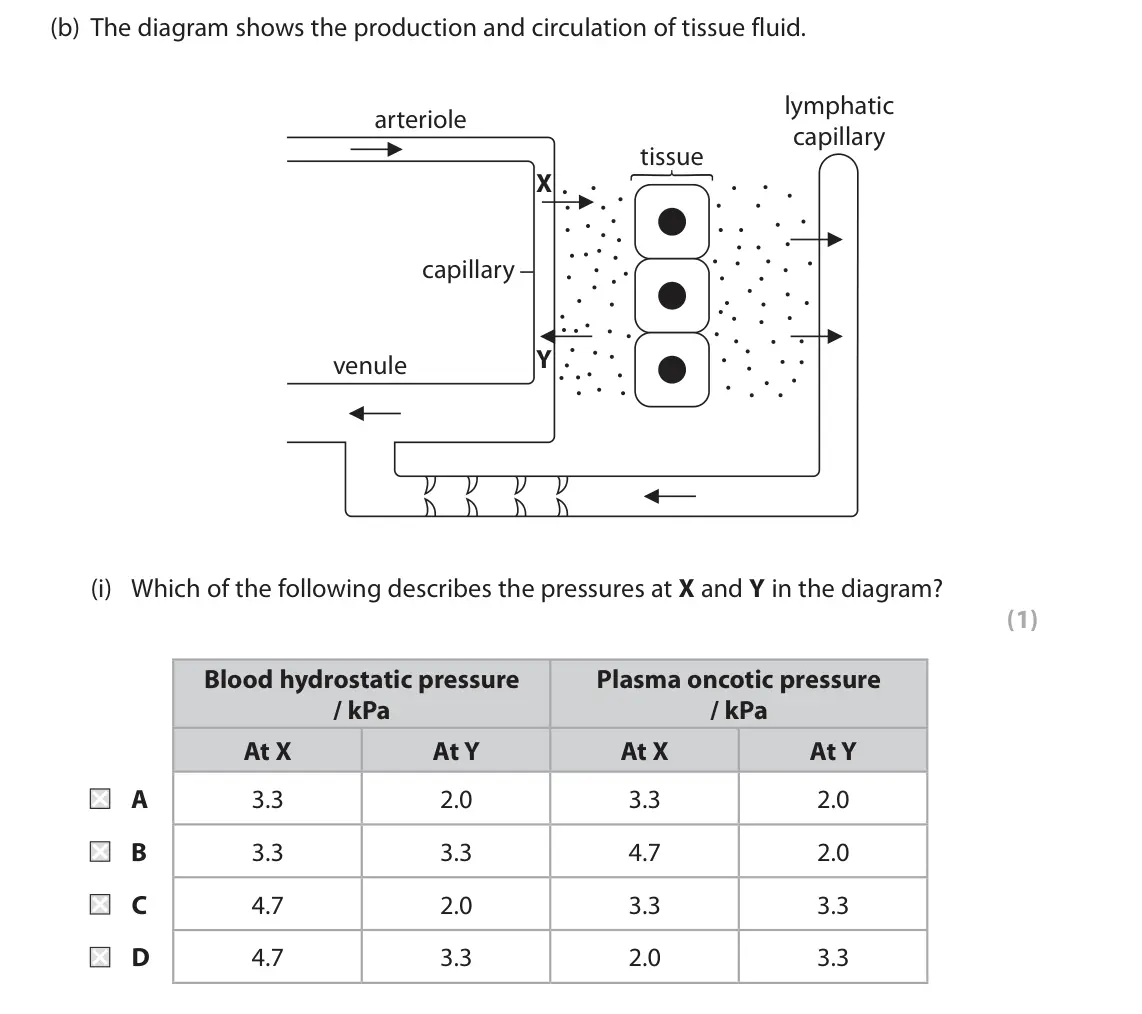 June 2017 AS Paper 2, question 8(b)(i): Which of the following describes the pressures at X and Y in the diagram? (1) Blood hydrostatic pressure Plasma oncotic pressure / kPa / kPa At X At Y At X At Y