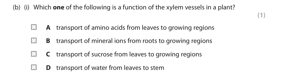 June 2024 AS Paper 2, question 2(b)(i): Which one of the following is a function of the xylem vessels in a plant? (1) A transport of amino acids from leaves to growing regions B transport of mineral i