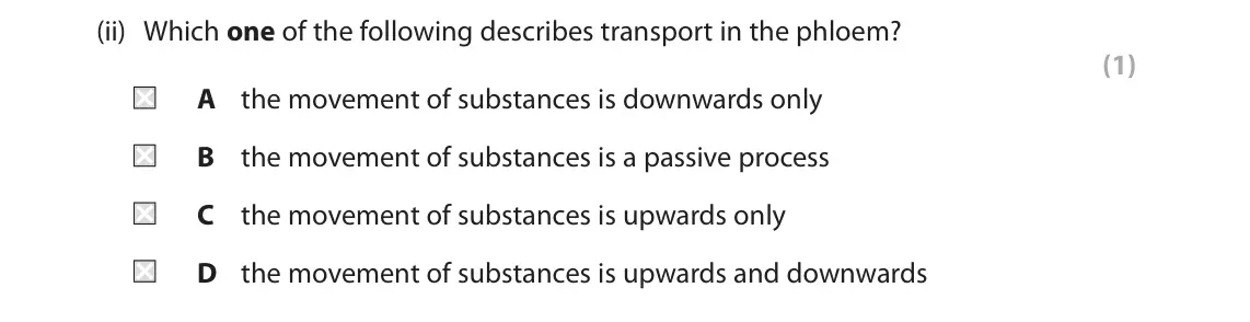 June 2024 AS Paper 2, question 2(b)(ii): Which one of the following describes transport in the phloem? (1) A the movement of substances is downwards only B the movement of substances is a passive proce